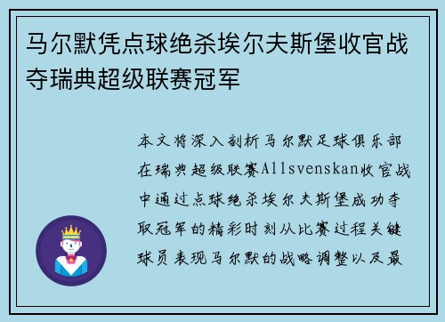 马尔默凭点球绝杀埃尔夫斯堡收官战夺瑞典超级联赛冠军
